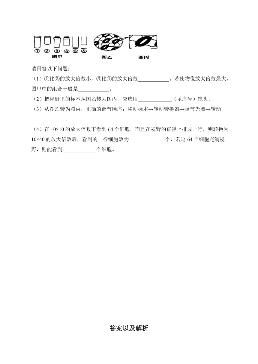 2.1细胞学说—现代生物学的“基石”——2023-2024学年高一生物学苏教版（2019）必修一课时分层练（有解析）