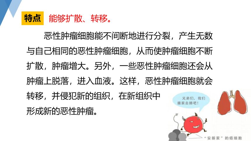 3.4 非传染性疾病 —2023-2024学年浙教版科学九年级下册（课件 23张ppt）