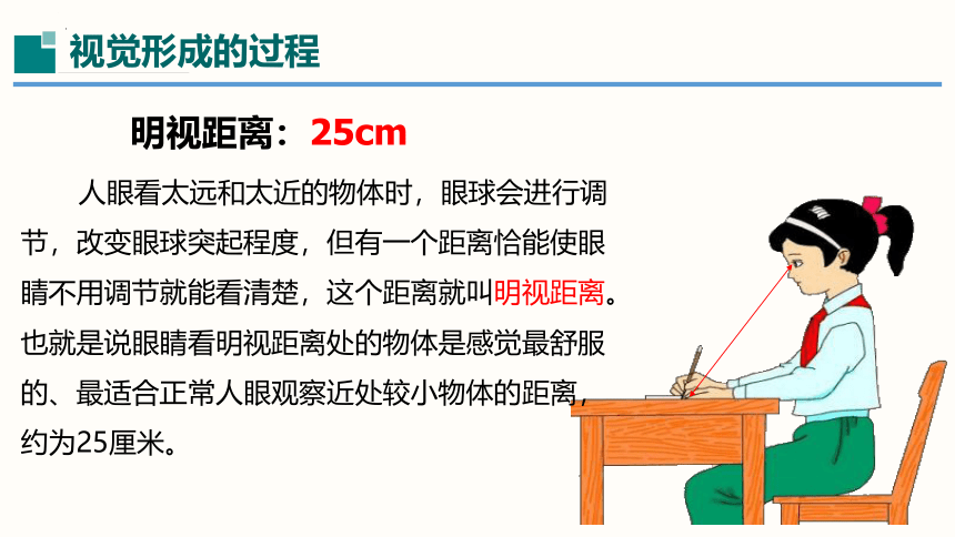 3.7眼睛与光学仪器-2023-2024学年八年级物理上册同步精品课堂（沪粤版）