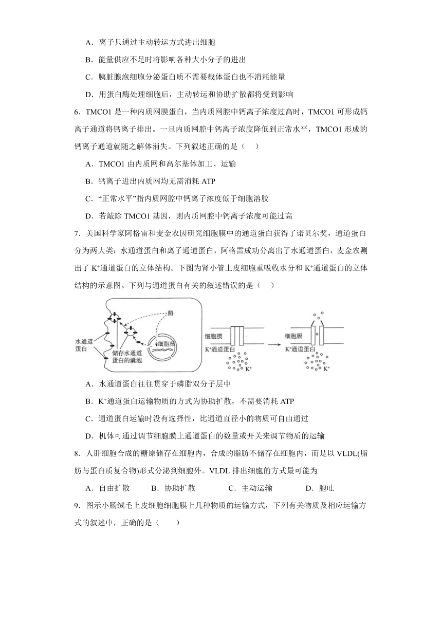 4.2主动运输与胞吞、胞吐 练习（解析版）