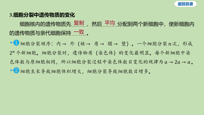 2.3.1细胞的分裂习题课件(共17张PPT)2023-2024学年六年级生物鲁科版（五四学制）