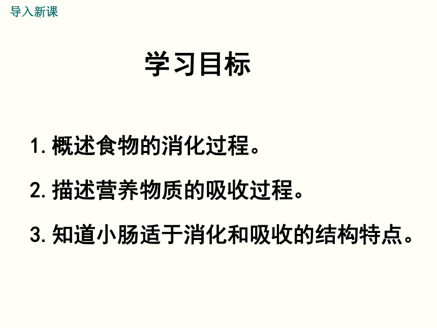 4.2.2 消化和吸收（第2课时） 课件（20张PPT）2022-2023学年人教版生物七年级下册