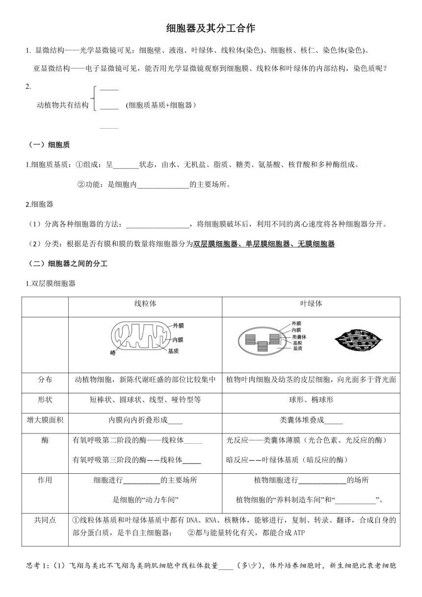 3.2细胞器之间的分工合作学案（无答案）高一上学期生物人教版必修1