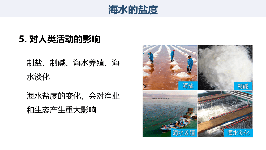 高中地理湘教版必修一（2019） 4.2.2 海水的盐度和密度课件（共24张ppt)
