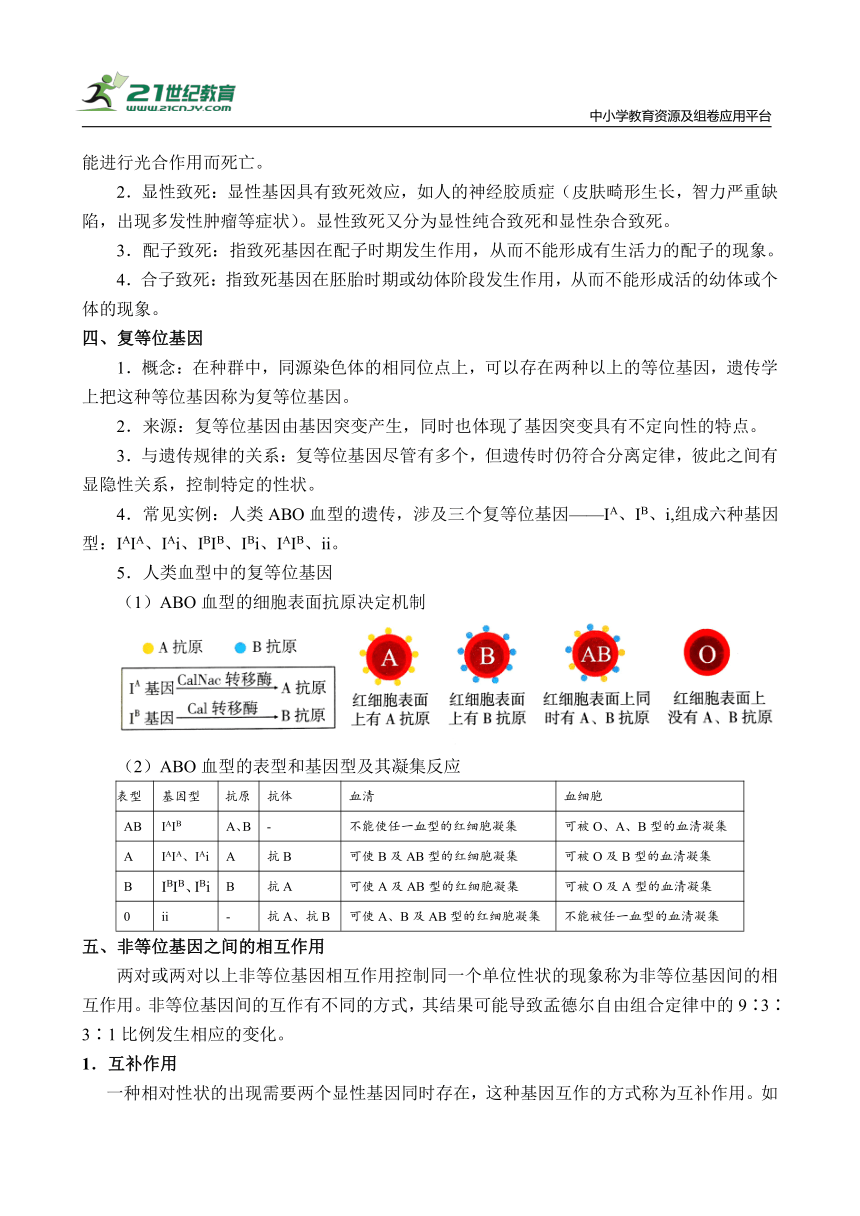 【备考2024】高中生物一轮复习学案 第6讲  孟德尔的遗传定律(二)（含解析）