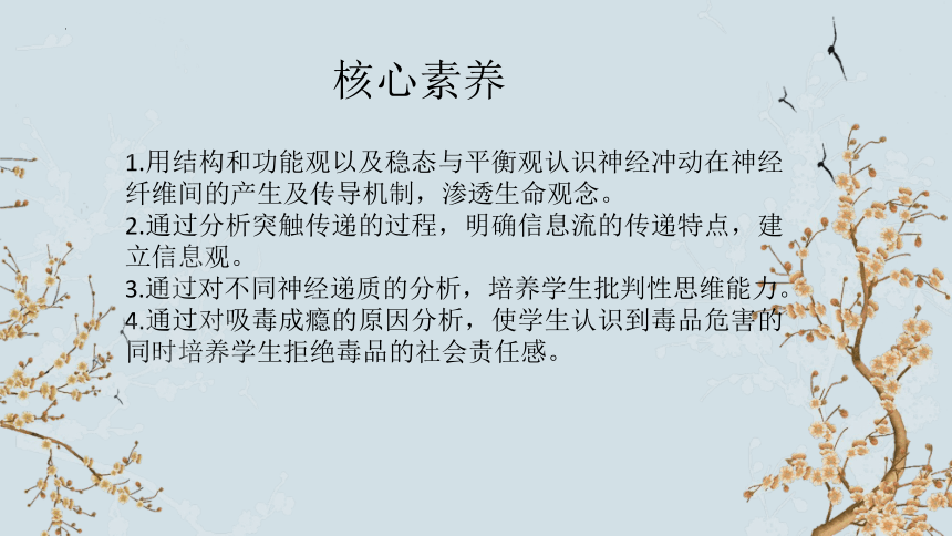 1.1 神经调节（第3课时）(共17张PPT)-2023-2024学年高二生物上册(苏教版2019选择性必修1)