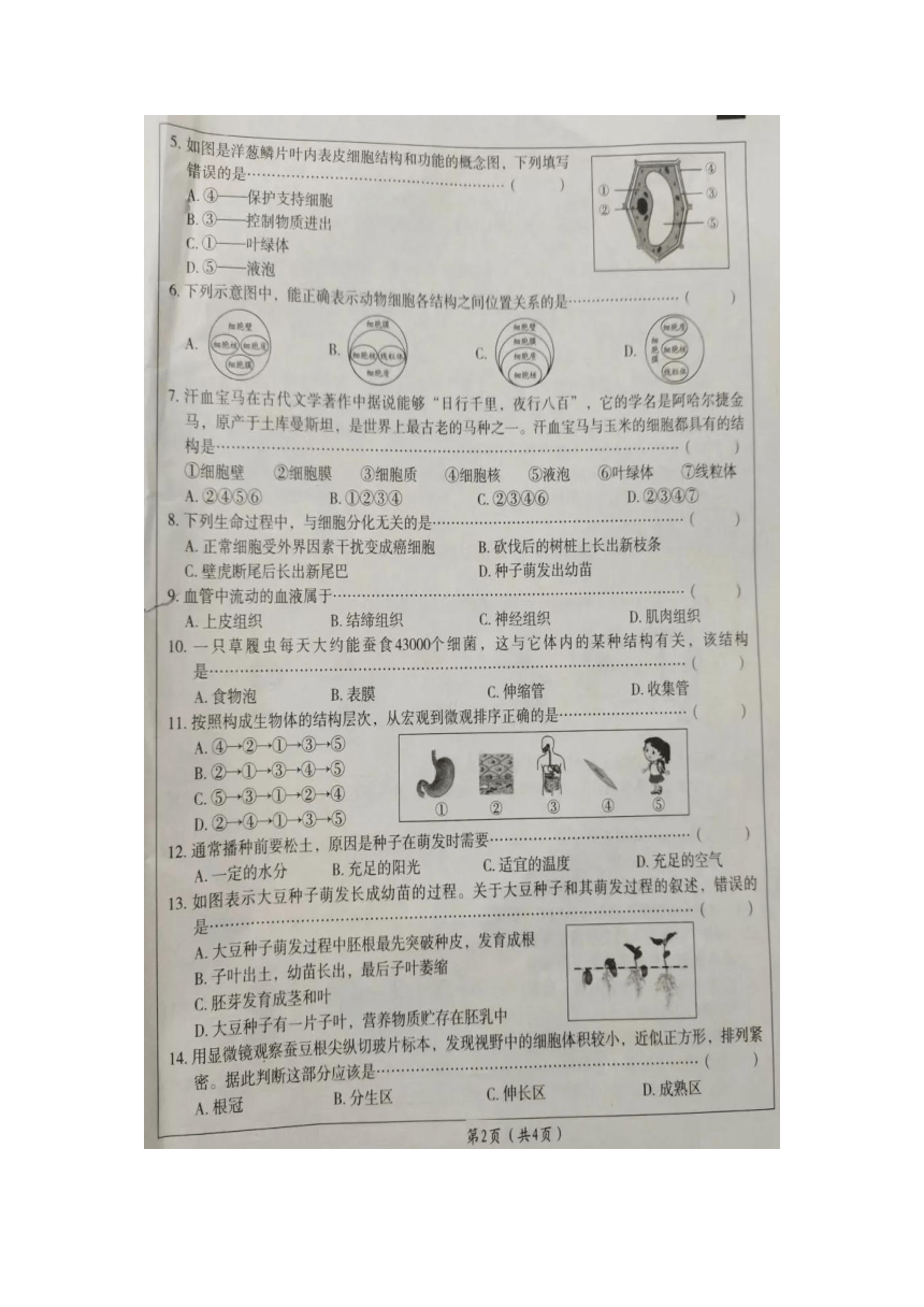 江苏省宿豫县南蔡初级中学2023-2024学年七年级上学期生物学12月考试卷（图片版 无答案）