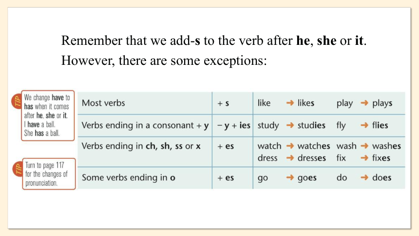 牛津译林版英语七年级上册课件 Unit 2   Let's play sports Period 3 Grammar课件（共24张PPT）