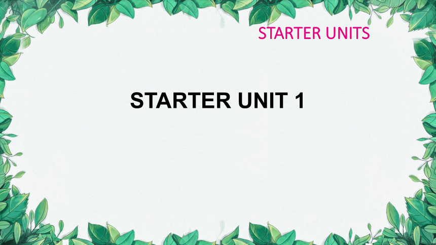 人教新目标版英语七年级上册starters  Unit 1 Good morning !习题课件(共14张PPT)