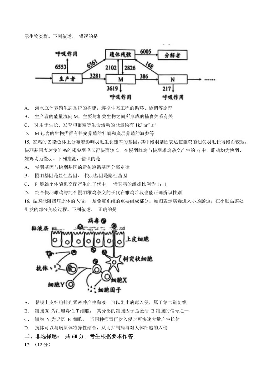 广东省广州市2024届高三下学期一模考试生物学试题（含答案）