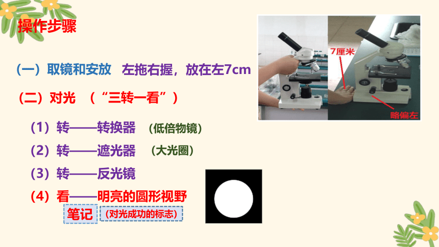 2.1.2 植物细胞 课件 (共29张PPT＋内嵌视频1个)人教版生物七年级上册