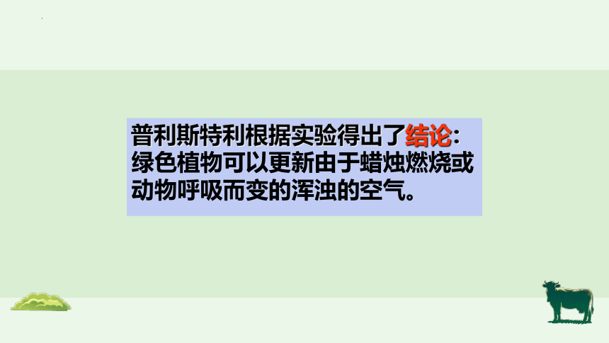 3.5.1 光合作用吸收二氧化碳释放氧气-【备课精选】2023-2024学年七年级生物上册同步教学精品课件(共22张PPT)