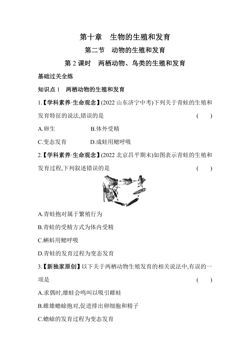 10.2.2两栖动物、鸟类的生殖和发育素养提升练（含解析）北京版生物八年级上册