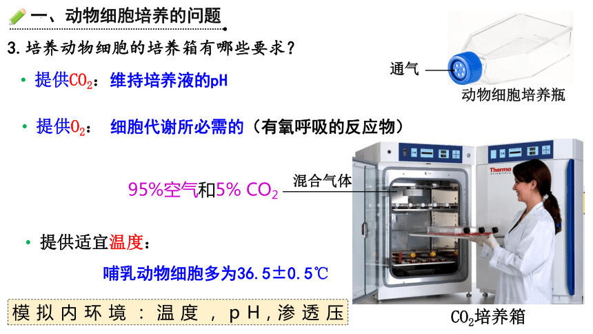 生物人教版（2019）选择性必修3 2.2.1动物细胞培养（课件共35张ppt）
