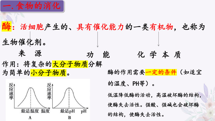 4.9.2 人体的消化与吸收（第二课时）-2023-2024学年七年级生物下册同步精品课堂（苏教版）(共31张PPT)