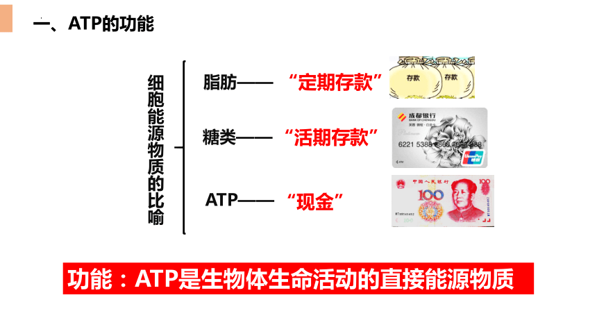 5.2细胞的能量货币ATP课件（共32张PPT、2份视频）-人教版必修1