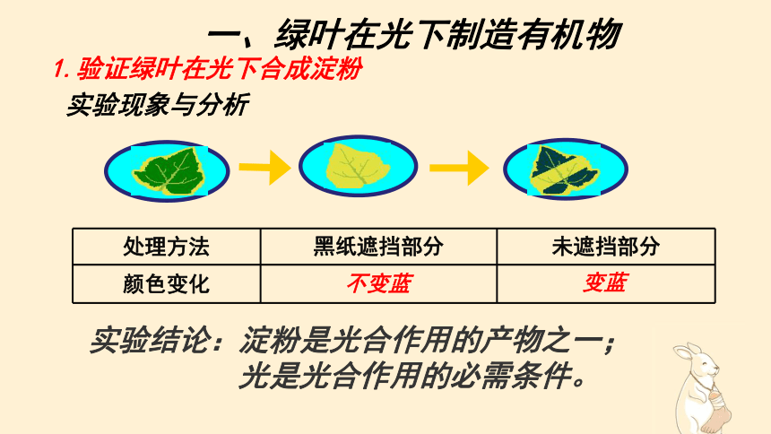 3.4绿色植物是生物圈中有机物的制造者 课件(共24张PPT)2022-2023学年人教版生物七年级上册