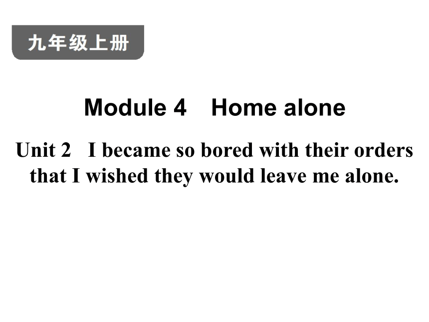 Module 4 Home alone  Unit 2  习题课件 (共40张PPT)