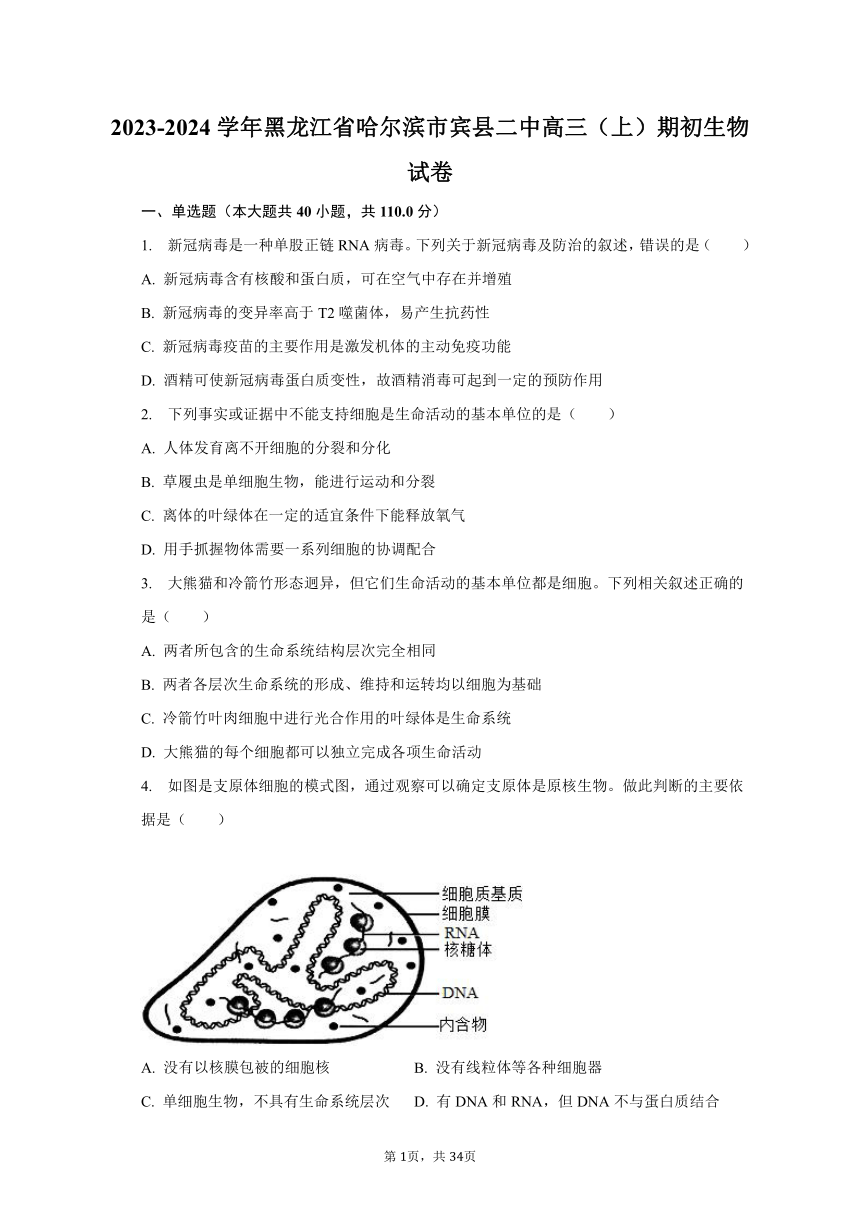 2023-2024学年黑龙江省哈尔滨市宾县二中高三（上）期初生物试卷（含解析）