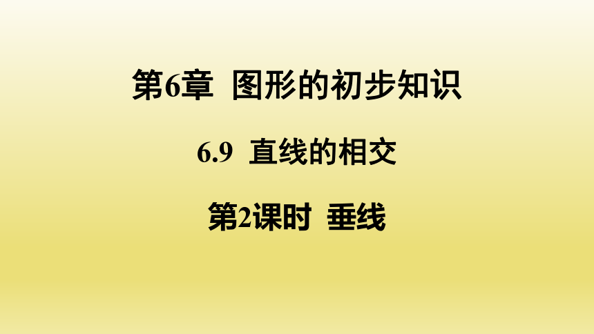 6.9.2 垂线课件(共14张PPT)2023-2024学年浙教版数学七年级上册