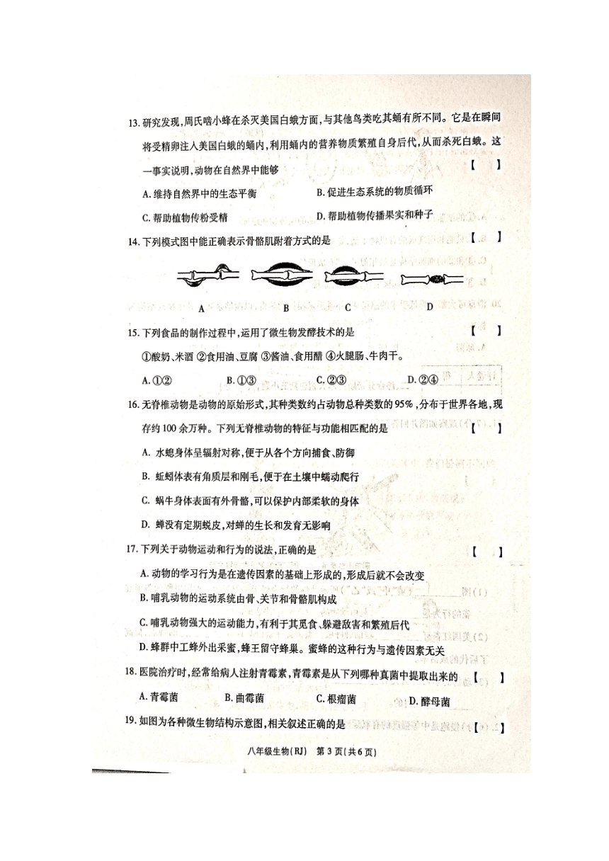 河南省漯河市临颍县2023-2024学年八年级上学期生物第三次月考试卷试题（图片版无答案）