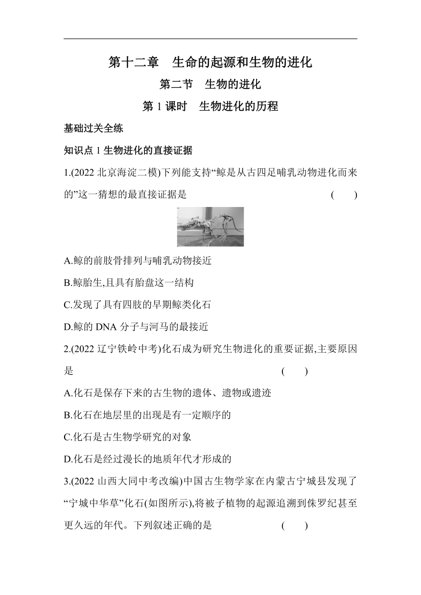 12.2.1生物进化的历程素养提升练（含解析）北京版生物八年级上册