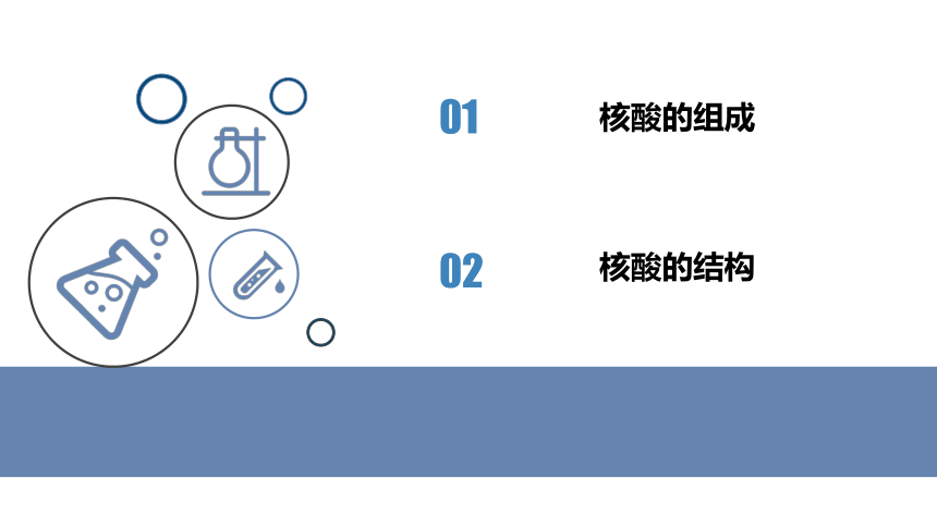 4.3 核酸（课件）(共22张PPT)-高二化学（人教版2019选择性必修3）