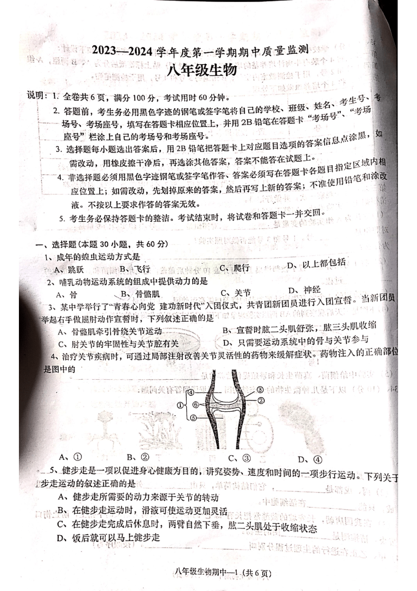 广东省揭阳市惠来县全区2023-2024学年八年级上学期生物期中测试卷（PDF版，无答案）