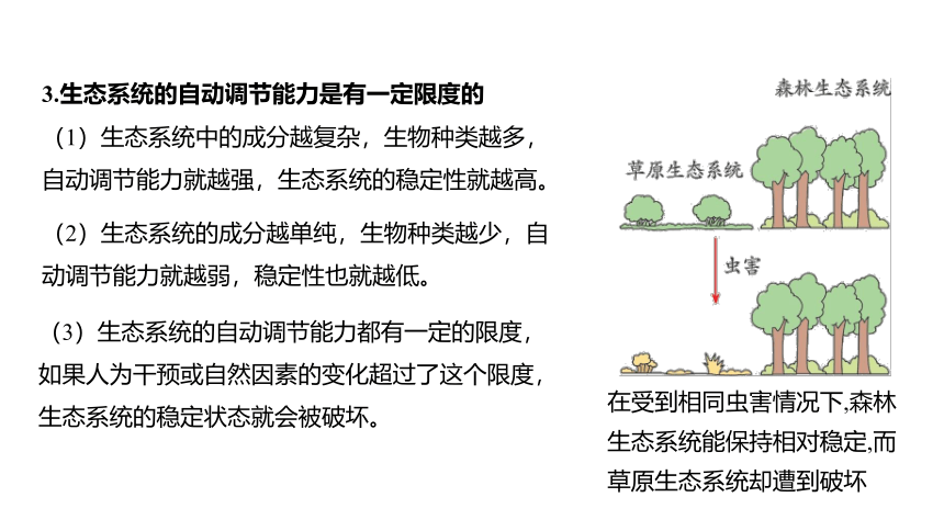 2.5生态系统的稳定性（课件 23张PPT)