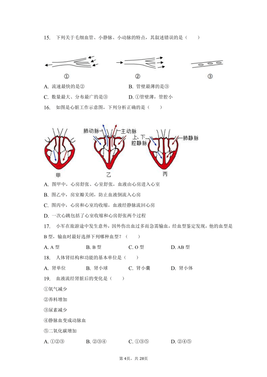 2022-2023学年山东省临沂市费县七年级（下）期末生物试卷（含解析）