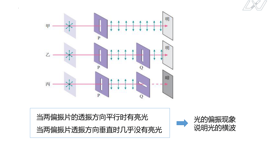 4.6光的偏振、激光课件-2023-2024学年高二上学期物理人教版（2019）选择性必修第一册(共20张PPT)