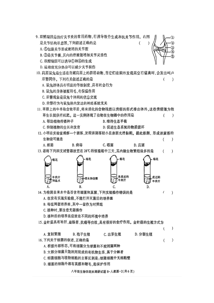 陕西省商洛市山阳县色河铺镇九年制学校2023~2024学年八年级上学期生物期末调研试卷（扫描版无答案）