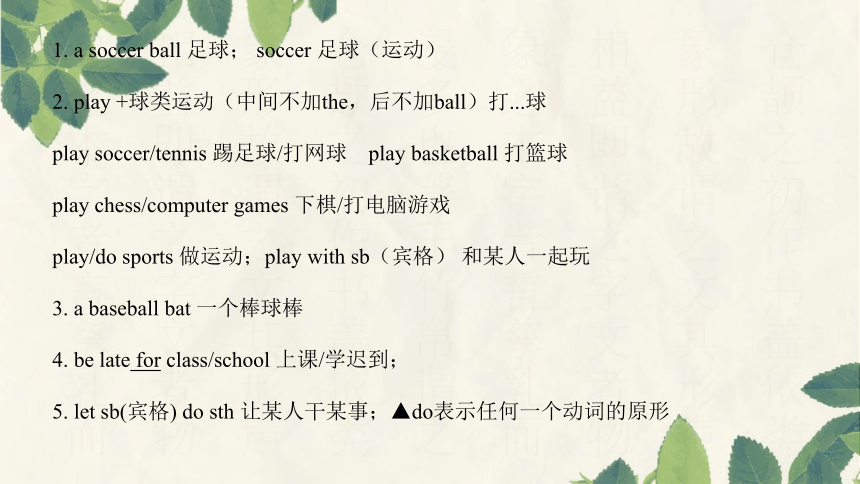 Unit 5 Do you have a soccer ball? 单元复习课件