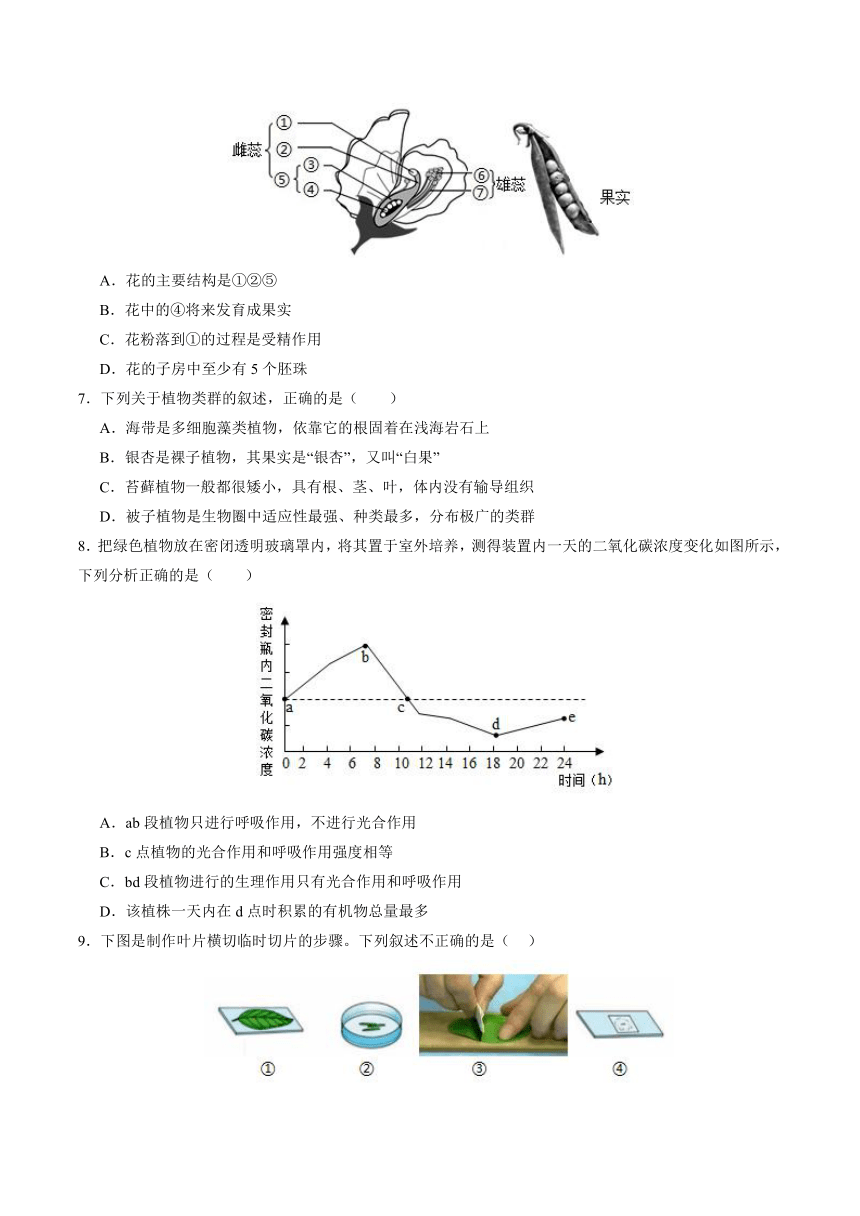 2024年广东省中考生物模拟卷3（解析版）