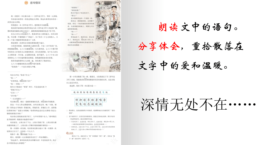 18《慈母情深》课件(共20张PPT)