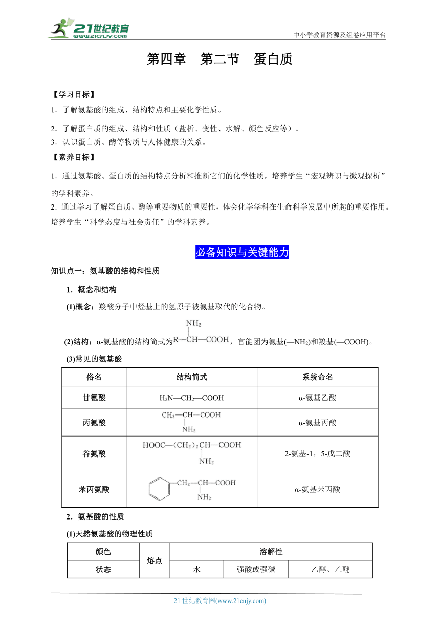 4.2 蛋白质（解析版）