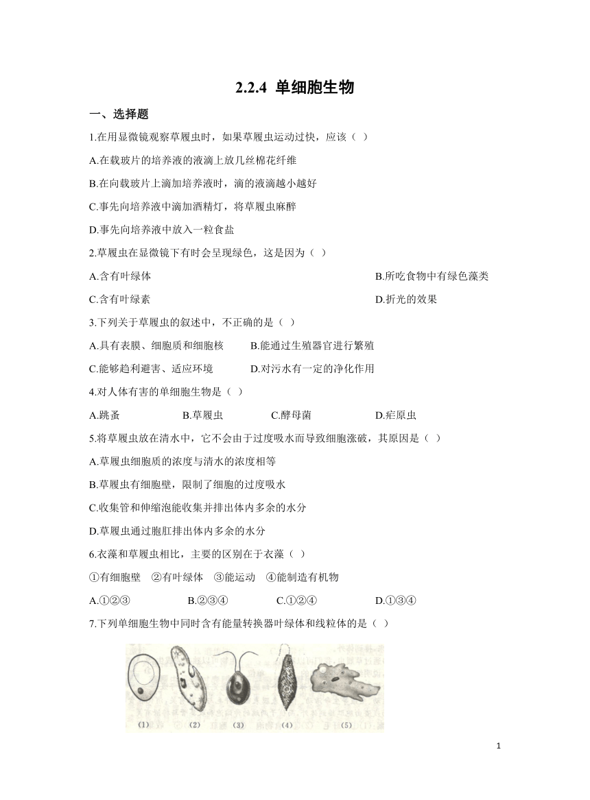 2.2.4单细胞生物作业（含答案）初中生物人教版七年级上册