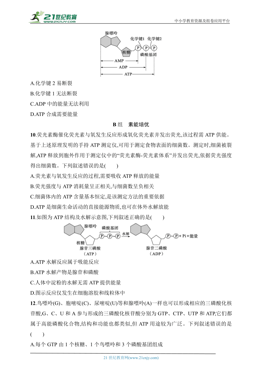 2025浙科版新教材生物学高考第一轮基础练--作业7　ATP是细胞内的“能量通货”（含解析）