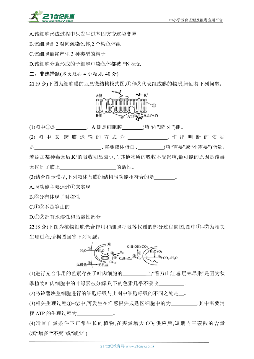 2024普通高中学业水平考试生物模拟卷1(含解析）