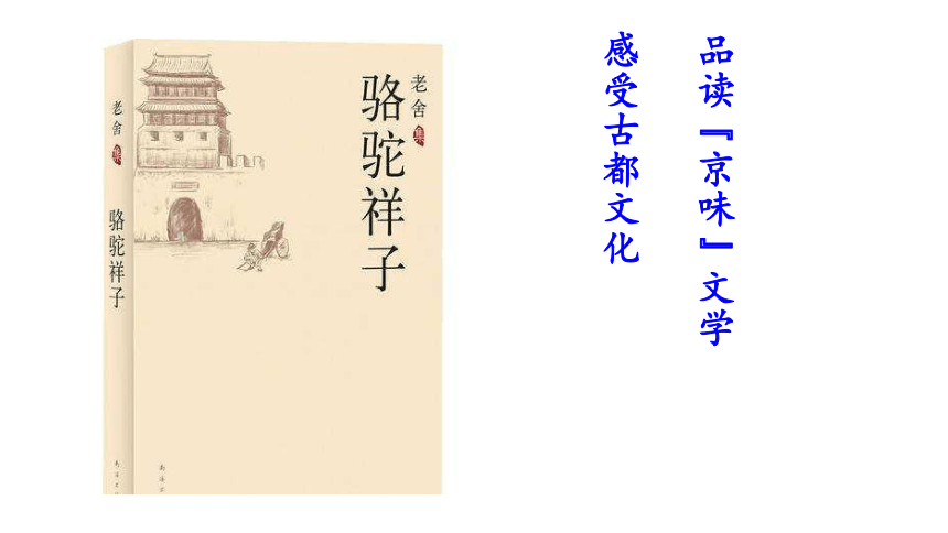 部编版七年级下册第三单元 名著《骆驼祥子》课件（共29张PPT）