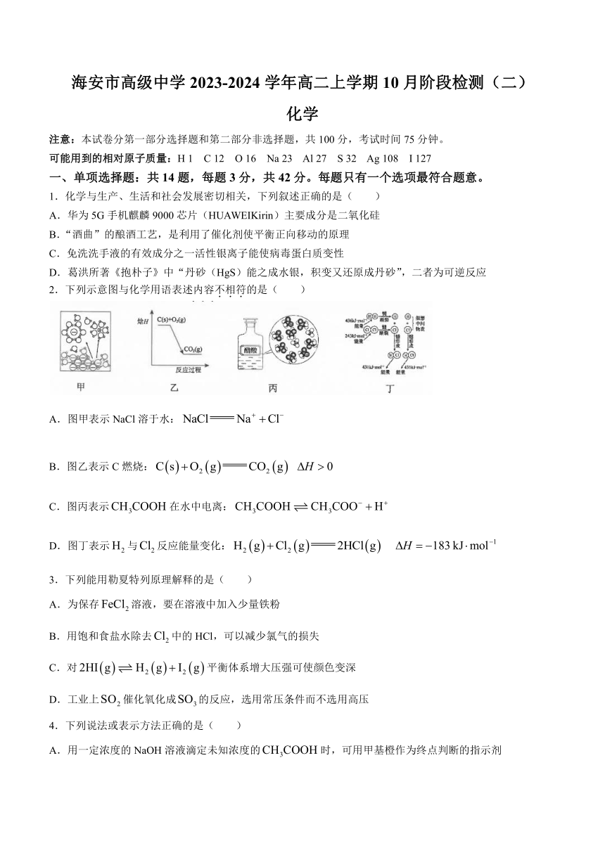 江苏省南通市海安市高级中学2023-2024学年高二上学期10月阶段检测（二）化学试题（含答案）