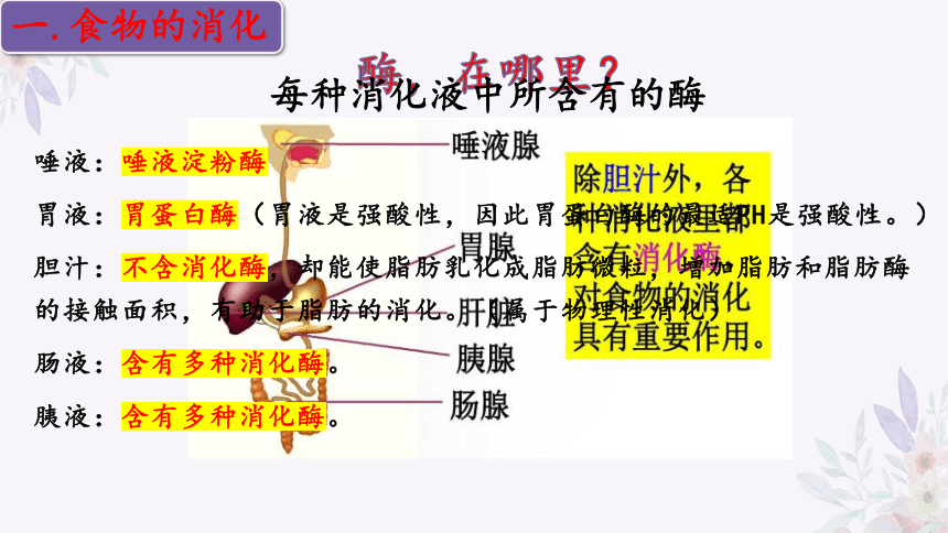 4.9.2 人体的消化与吸收（第二课时）-2023-2024学年七年级生物下册同步精品课堂（苏教版）(共31张PPT)