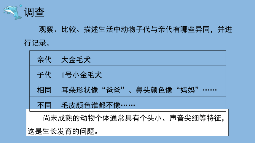 科学大象版（2017秋）六年级上册4.2《动物的遗传和变异》课件（共17张PPT）