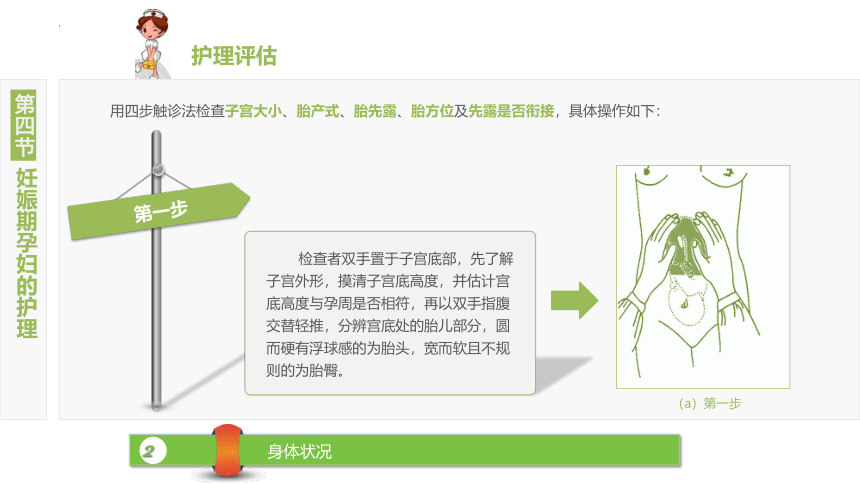 3.4妊娠期孕妇的护理 课件(共26张PPT)-《妇产科护理》同步教学（江苏大学出版社）