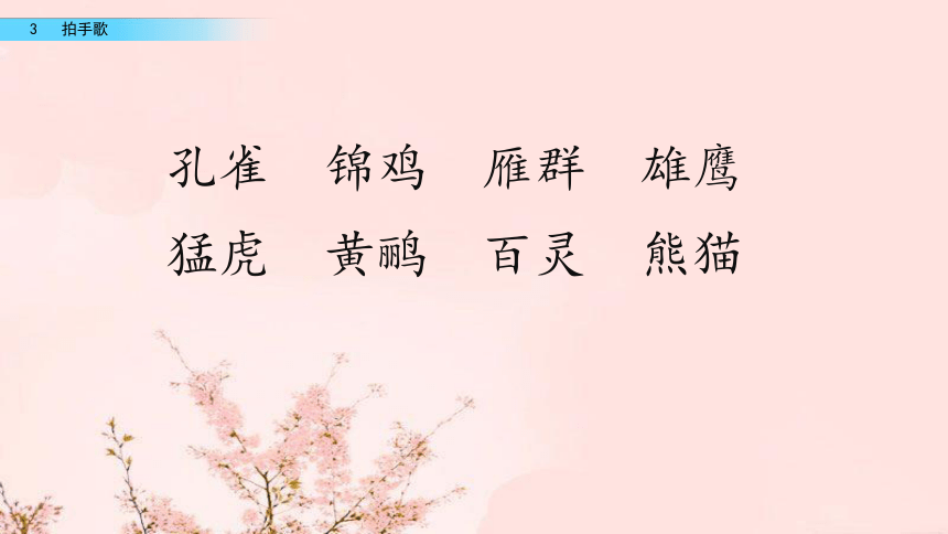 3 拍手歌 课件(共19张PPT)