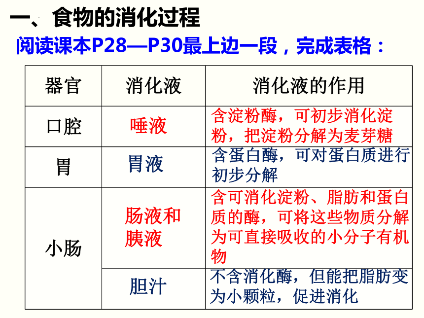 4.2.2 消化和吸收（第2课时） 课件（20张PPT）2022-2023学年人教版生物七年级下册
