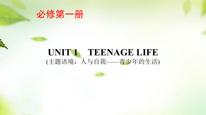 人教版（2019） 必修 第一册Unit 1 Teenage life课件(共84张PPT)