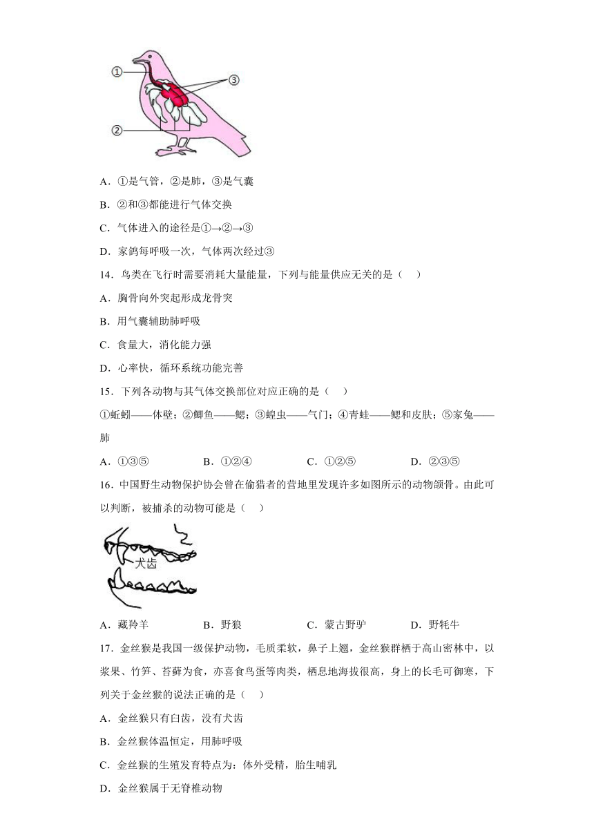 海南省海口市2023-2024学年八年级上学期期中测试生物试卷（含解析）