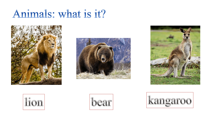 Level 3 Unit7 World of animals  Lesson1课件 (共14张PPT)