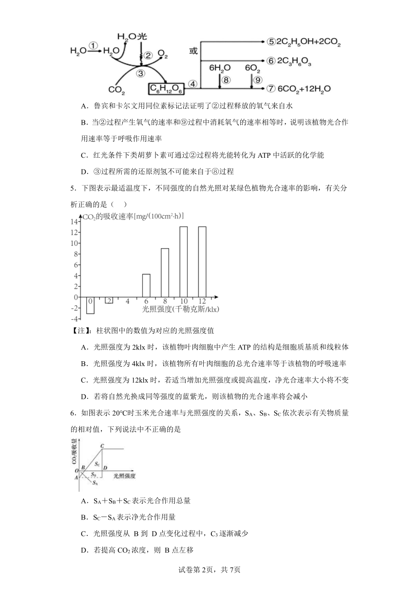 人教版高中生物必修一第5章第4节光合作用与能量转化同步练习（含答案）